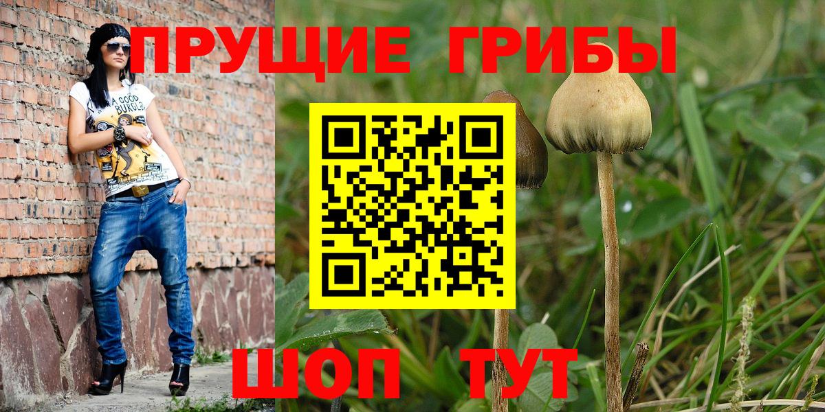 Знаменск  Псилоцибиновые грибы Magic Shrooms  Псилоцибиновые грибы прущие грибы  Вход с VPN 